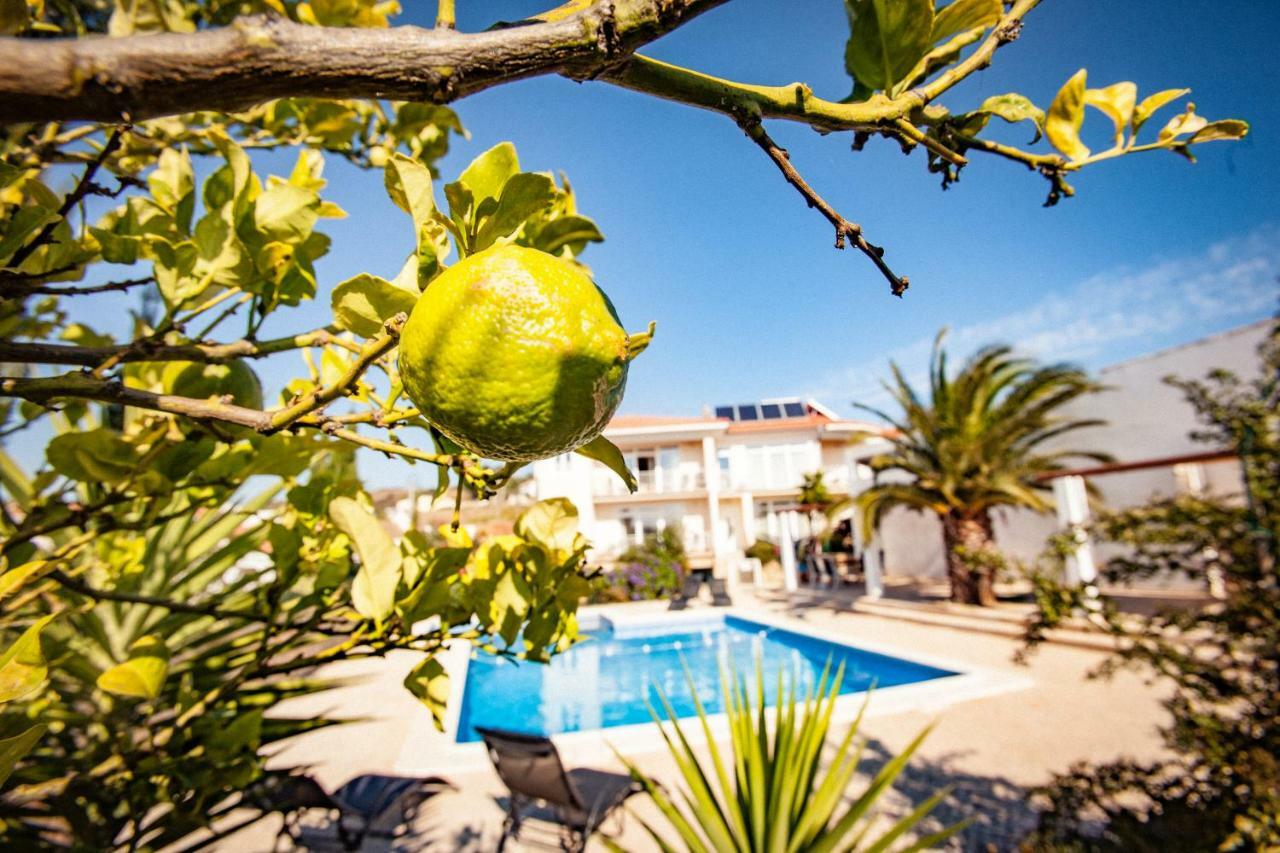 Casa Do Pocinho Apartman Raposeira  Kültér fotó